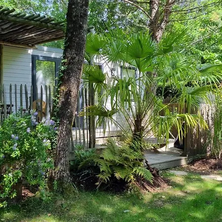 Aux Couleurs Du Ferret مكان تخييم Lège-Cap-Ferret