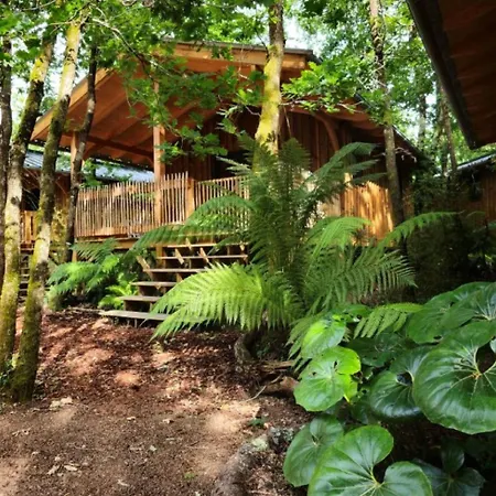 Aux Couleurs Du Ferret 3* Lège-Cap-Ferret