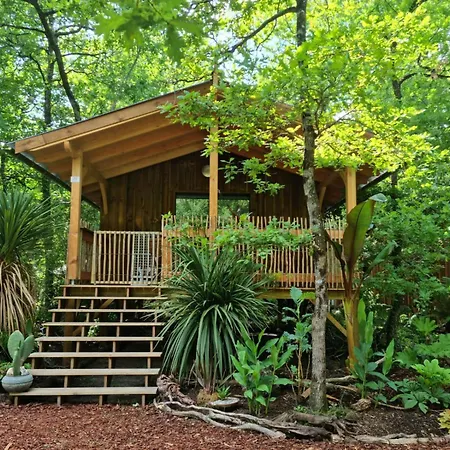 Camping Aux Couleurs Du Ferret