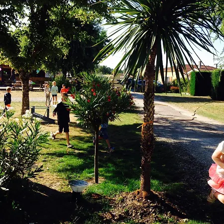 Aux Couleurs Du Ferret