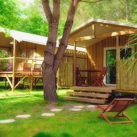 Aux Couleurs Du Ferret