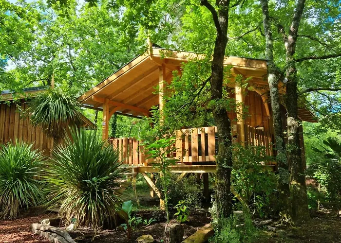 Aux Couleurs Du Ferret Camping 3*