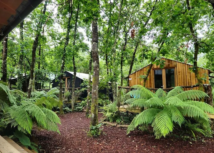 Camping Aux Couleurs Du Ferret