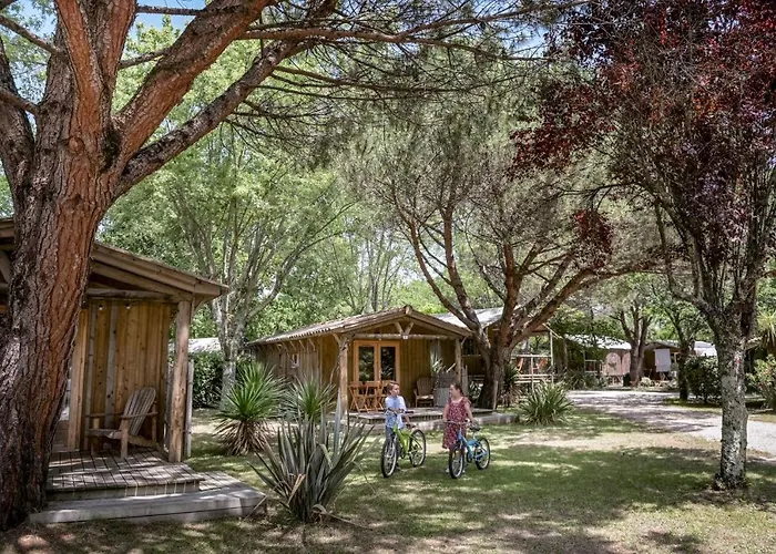 Aux Couleurs Du Ferret 3*