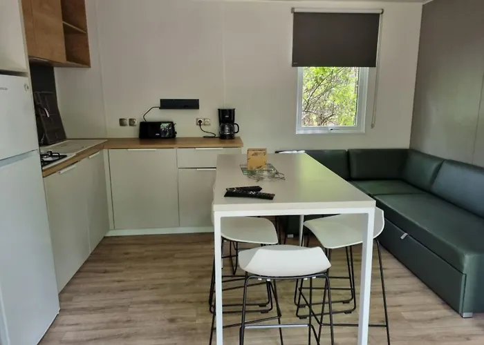 Aux Couleurs Du Ferret