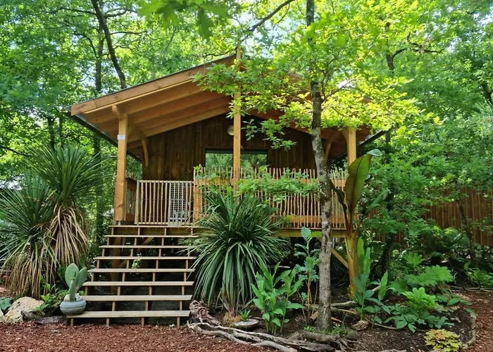 Camping Aux Couleurs Du Ferret