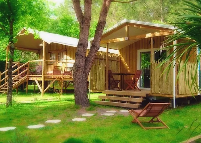 Aux Couleurs Du Ferret