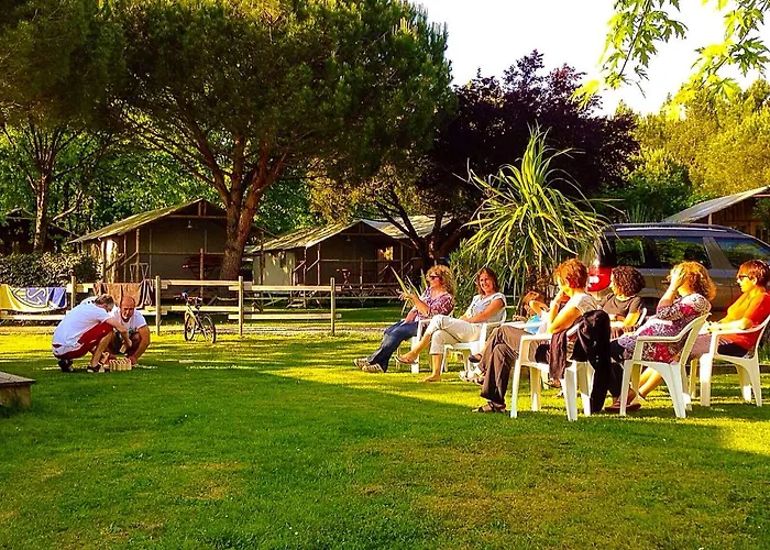 Aux Couleurs Du Ferret