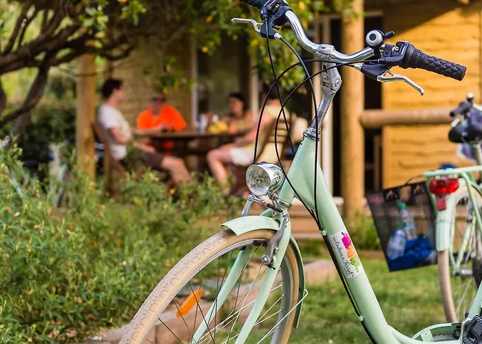 Aux Couleurs Du Ferret Кемпинг 3*