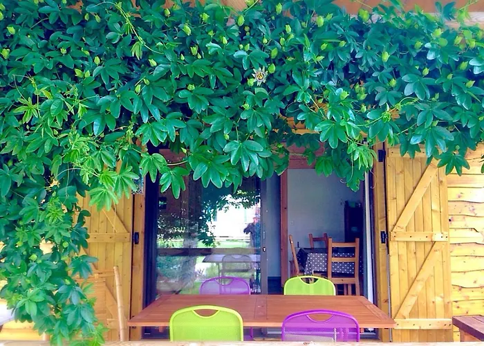 Aux Couleurs Du Ferret 3*