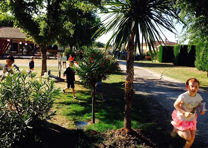 Aux Couleurs Du Ferret