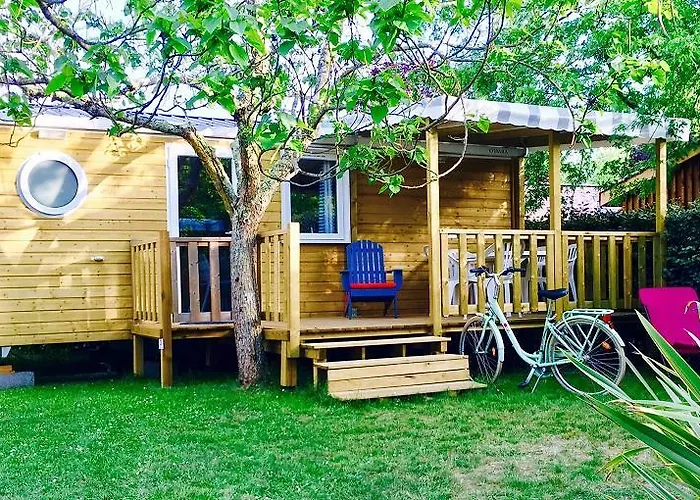 Aux Couleurs Du Ferret